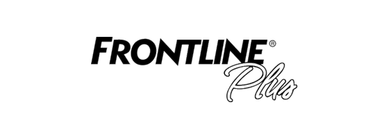 Frontline